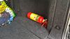 Filename : 20170511_131846.jpg
Filesize : 782KB
Dimensions : 2048x1152
Date added : May 11, 2017 20170511_131846.jpg
