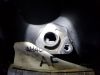 Filename : 20170627_185346.jpg
Filesize : 290KB
Dimensions : 2048x1536
Date added : Jun 27, 2017 20170627_185346.jpg