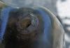 Filename : 20170805_115059 (2).jpg
Filesize : 337KB
Dimensions : 2048x1428
Date added : Aug 05, 2017 20170805_115059 (2).jpg