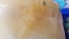 Filename : 20170805_130508.jpg
Filesize : 92KB
Dimensions : 2048x1152
Date added : Aug 05, 2017 20170805_130508.jpg