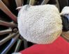Filename : 20170808_122809 (2).jpg
Filesize : 801KB
Dimensions : 1842x1440
Date added : Aug 08, 2017 20170808_122809 (2).jpg