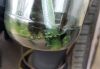 Filename : 20171111_120145.jpg
Filesize : 296KB
Dimensions : 2048x1415
Date added : May 19, 2018 20171111_120145.jpg