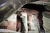 Filename : 20190915_103506_Burst17.jpg
Filesize : 329KB
Dimensions : 2048x1355
Date added : Sep 15, 2019 20190915_103506_Burst17.jpg