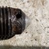 Filename : img_20180808_093623.jpg
Filesize : 452KB
Dimensions : 2048x2048
Date added : Aug 09, 2018 img_20180808_093623.jpg
