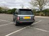 IMG_0295 Clean Plate.jpg