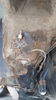 Filename : 20231009_104453.jpg
Filesize : 317KB
Dimensions : 1152x2048
Date added : Oct 09, 2023 20231009_104453.jpg