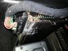 Filename : 20161203_115456.jpg
Filesize : 577KB
Dimensions : 2048x1536
Date added : Dec 03, 2016 20161203_115456.jpg