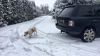 Filename : IMG_3996.JPG
Filesize : 181KB
Dimensions : 1334x750
Date added : Dec 08, 2016 IMG_3996.JPG