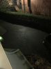 Filename : IMG_1772.jpg
Filesize : 429KB
Dimensions : 1536x2048
Date added : Jan 20, 2017 IMG_1772.jpg
