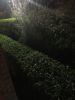 Filename : IMG_1773.jpg
Filesize : 507KB
Dimensions : 1536x2048
Date added : Jan 20, 2017 IMG_1773.jpg