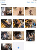Filename : 0370D943-8630-4FB6-9364-C49D3937B69D.png
Filesize : 3856KB
Dimensions : 1536x2048
Date added : Aug 19, 2021 0370D943-8630-4FB6-9364-C49D3937B69D.png