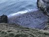Filename : A0C7BA83-B61E-4EAD-B47B-6A16CFFE7BD1.jpeg
Filesize : 620KB
Dimensions : 1750x1313
Date added : Apr 12, 2023 A0C7BA83-B61E-4EAD-B47B-6A16CFFE7BD1.jpeg