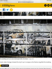 Filename : BC7F099A-830B-4532-9EC4-6FA1E342FEC4.png
Filesize : 3782KB
Dimensions : 1536x2048
Date added : Aug 06, 2020 BC7F099A-830B-4532-9EC4-6FA1E342FEC4.png