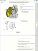 Filename : E2EA8A8A-A124-4DDA-B8B1-188806A26300.png
Filesize : 756KB
Dimensions : 1536x2048
Date added : May 18, 2019 E2EA8A8A-A124-4DDA-B8B1-188806A26300.png