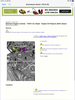 Filename : F03A9242-988F-4F51-B175-03C174DEE252.png
Filesize : 1051KB
Dimensions : 1536x2048
Date added : Feb 28, 2020 F03A9242-988F-4F51-B175-03C174DEE252.png