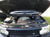 Filename : IMG_2227.jpg
Filesize : 938KB
Dimensions : 2048x1536
Date added : May 22, 2018 IMG_2227.jpg