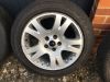Filename : IMG_6092.JPG
Filesize : 454KB
Dimensions : 2048x1536
Date added : Mar 07, 2017 IMG_6092.JPG
