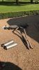 Filename : IMG_6353.PNG
Filesize : 3712KB
Dimensions : 1152x2048
Date added : Apr 10, 2017 IMG_6353.PNG