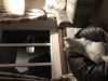 Filename : IMG_0014.JPG
Filesize : 378KB
Dimensions : 2048x1536
Date added : Jan 02, 2017 IMG_0014.JPG