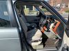 Filename : IMG_2426.JPG
Filesize : 505KB
Dimensions : 2048x1536
Date added : Sep 21, 2019 IMG_2426.JPG