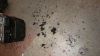 Filename : DSC_0062.JPG
Filesize : 441KB
Dimensions : 2048x1152
Date added : Jan 23, 2017 DSC_0062.JPG
