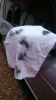 Filename : IMG-20160821-WA0013.jpg
Filesize : 213KB
Dimensions : 899x1599
Date added : Nov 24, 2016 IMG-20160821-WA0013.jpg