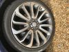 Filename : IMG_3437.jpg
Filesize : 1094KB
Dimensions : 2016x1512
Date added : Mar 09, 2018 IMG_3437.jpg