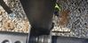 Filename : 2019-08-04 09.51.52 (Medium).jpg
Filesize : 212KB
Dimensions : 1366x664
Date added : Aug 05, 2019 2019-08-04 09.51.52 (Medium).jpg