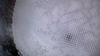 Filename : 2A8A892F-2F82-4318-B421-46F46AE0C0AD.jpeg
Filesize : 230KB
Dimensions : 1750x984
Date added : Jun 22, 2022 2A8A892F-2F82-4318-B421-46F46AE0C0AD.jpeg