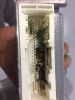 IMG-20161003-WA0005.jpg