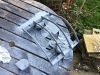 Filename : 20170402_162504382_iOS.jpg
Filesize : 334KB
Dimensions : 1024x768
Date added : Apr 02, 2017 20170402_162504382_iOS.jpg