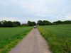 Filename : 20190609_174831754_iOS.jpg
Filesize : 222KB
Dimensions : 1000x750
Date added : Jun 10, 2019 20190609_174831754_iOS.jpg