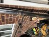 Filename : 20190721_101342521_iOS.jpg
Filesize : 668KB
Dimensions : 2048x1536
Date added : Jul 22, 2019 20190721_101342521_iOS.jpg