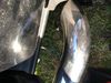 Filename : 20190825_171451017_iOS.jpg
Filesize : 442KB
Dimensions : 2048x1536
Date added : Aug 25, 2019 20190825_171451017_iOS.jpg