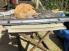 Filename : IMG_5668.jpg
Filesize : 542KB
Dimensions : 2048x1536
Date added : Apr 21, 2018 IMG_5668.jpg