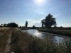 Filename : IMG_7882.JPG
Filesize : 468KB
Dimensions : 2048x1536
Date added : Jul 15, 2018 IMG_7882.JPG
