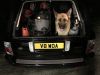 Filename : IMG_1191.JPG
Filesize : 359KB
Dimensions : 2048x1536
Date added : Nov 01, 2016 IMG_1191.JPG