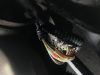 Filename : IMG_0186.JPG
Filesize : 196KB
Dimensions : 2048x1536
Date added : Jul 22, 2018 IMG_0186.JPG