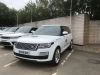 Filename : IMG_0440.JPG
Filesize : 509KB
Dimensions : 2048x1536
Date added : Aug 31, 2018 IMG_0440.JPG