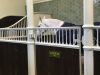 Filename : IMG_8284.JPG
Filesize : 379KB
Dimensions : 2048x1536
Date added : Oct 20, 2017 IMG_8284.JPG