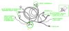 Filename : steps loom.jpg
Filesize : 199KB
Dimensions : 1522x712
Date added : Sep 03, 2017 steps loom.jpg