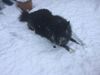 Filename : 2B09727A-0BBF-4C34-AE68-0CAED3E204C5.jpeg
Filesize : 180KB
Dimensions : 2048x1536
Date added : Jan 24, 2021 2B09727A-0BBF-4C34-AE68-0CAED3E204C5.jpeg