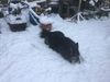 Filename : 3F5969BE-BF2F-4A7B-9598-72E219101F1C.jpeg
Filesize : 247KB
Dimensions : 2048x1536
Date added : Jan 24, 2021 3F5969BE-BF2F-4A7B-9598-72E219101F1C.jpeg