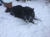 Filename : 59E0D0C2-A099-4403-8253-57ECEECF6A69.jpeg
Filesize : 198KB
Dimensions : 2048x1536
Date added : Jan 24, 2021 59E0D0C2-A099-4403-8253-57ECEECF6A69.jpeg