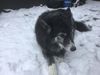 Filename : D638198E-86B7-4FFE-9F2B-746570F75231.jpeg
Filesize : 261KB
Dimensions : 2048x1536
Date added : Jan 24, 2021 D638198E-86B7-4FFE-9F2B-746570F75231.jpeg