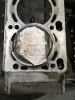Filename : IMG_0977~0.JPG
Filesize : 534KB
Dimensions : 1536x2048
Date added : May 12, 2018 IMG_0977~0.JPG