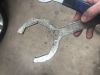 Filename : IMG_1068.jpg
Filesize : 256KB
Dimensions : 2048x1536
Date added : Apr 20, 2018 IMG_1068.jpg