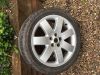 Filename : IMG_1579.JPG
Filesize : 758KB
Dimensions : 2048x1536
Date added : Oct 01, 2017 IMG_1579.JPG