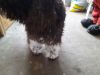 Filename : 011.jpg
Filesize : 258KB
Dimensions : 2048x1536
Date added : Mar 10, 2018 011.jpg