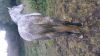 Filename : 20161010_185322.jpg
Filesize : 418KB
Dimensions : 2048x1152
Date added : Feb 08, 2018 20161010_185322.jpg